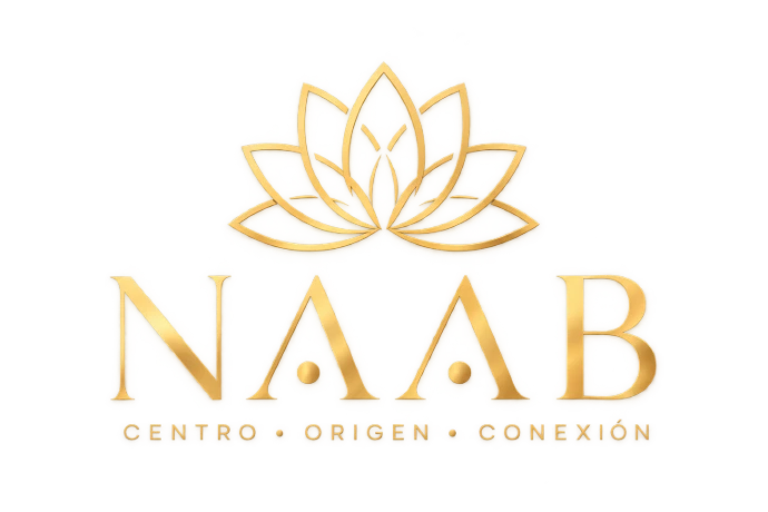 "Logotipo NAAB — Centro y Origen, Arte Toroidal"